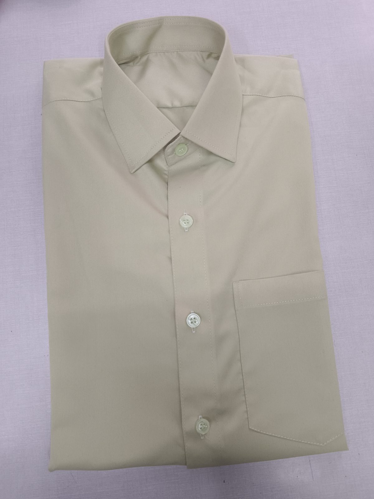 Classic Spread Collar Formal Shirt
